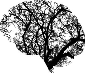 arbre-neuronal-300x256